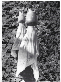 ללא כותרת קולאז 1 A3 Haneen Shekh Yosef - Collage 1
