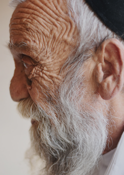 סבא דוד צילום דיגיטלי 50 50X סמ