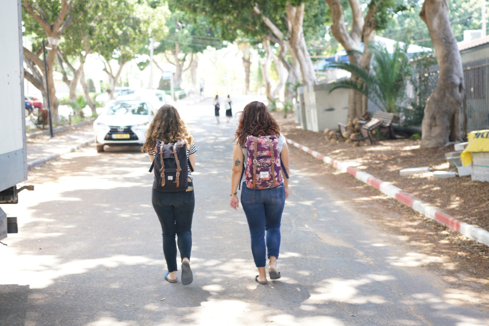 פעילויות המרכז