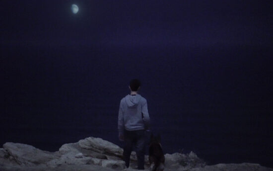 רגב עמרני, הילחם, ברח או קפא, 2019, סטילס מתוך וידאו, אוצר אבי לובין