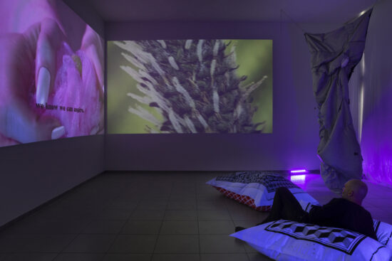 Gaelle Choisne, Temple of Love - Agony, Photo Lena Gomon