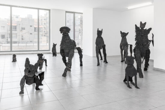 גיא ניסנהויז, כלבים, 2018-2022