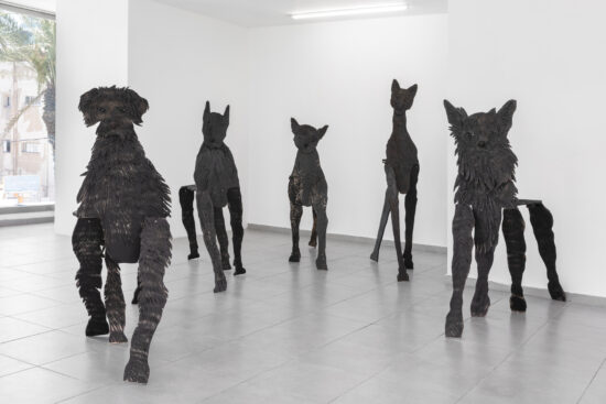 גיא ניסנהויז, כלבים, 2018-2022, צילום לנה גומון