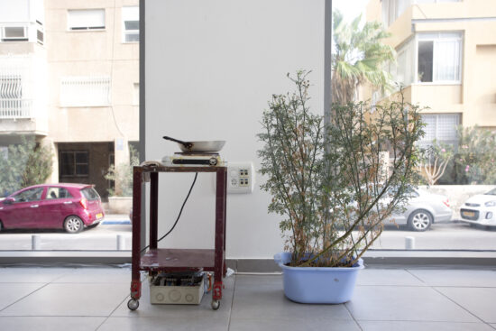 האני ח'טיב, רסאס, 2018, צילום מאיה זהבי
