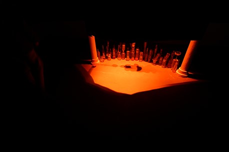 WOMB, מיצב. לבד ובקבוקי זכוכית