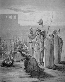 איור (illustration)
