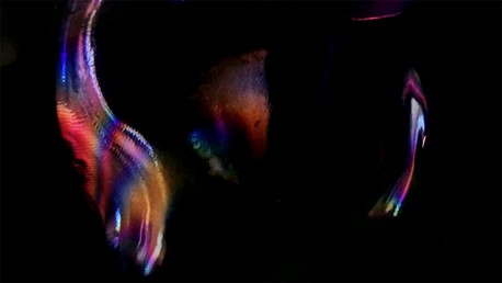 ‏ Staring (בהייה) צילומי מסך מתוך עבודות וידיאו