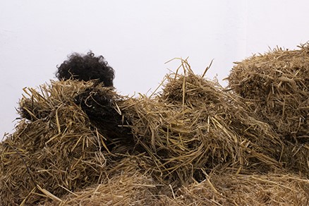 ''Hay'' טכניקה: אינסטליישן עם קש ואפונים