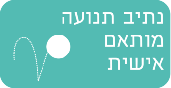 נתיב תנועה מותאם אישית